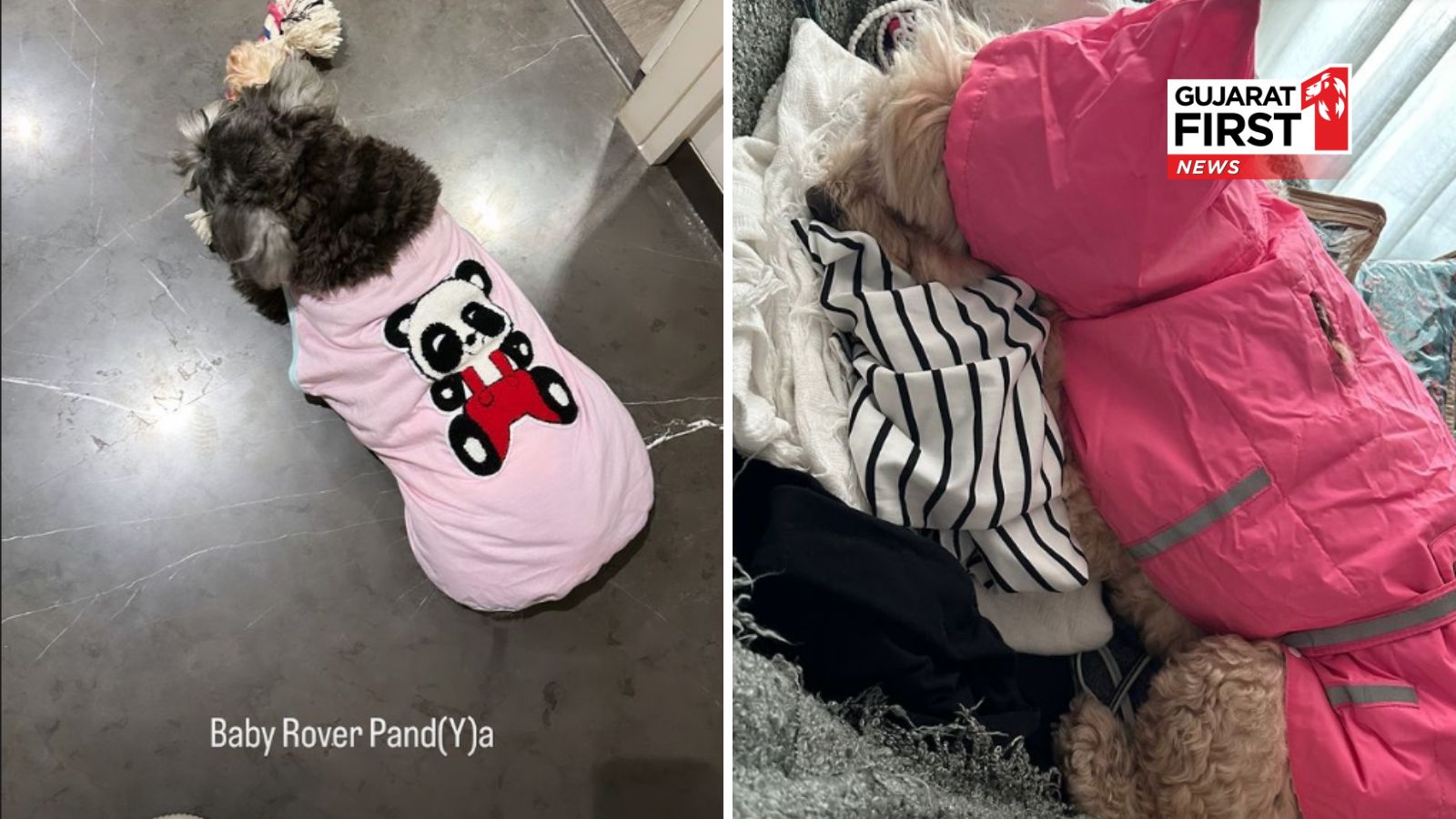 Hardik-Natasa Divorce, Hardik Pandya, Natasa Stankovic